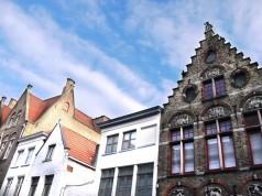 Stock Insurance Company