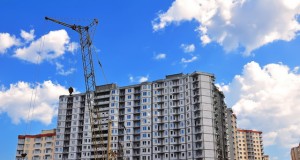 Organizational Assets