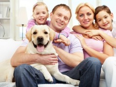 Critical Illness Policy