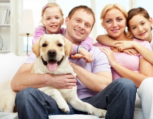 Critical Illness Policy