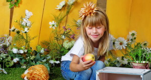 Pick the Best Mutual Fund