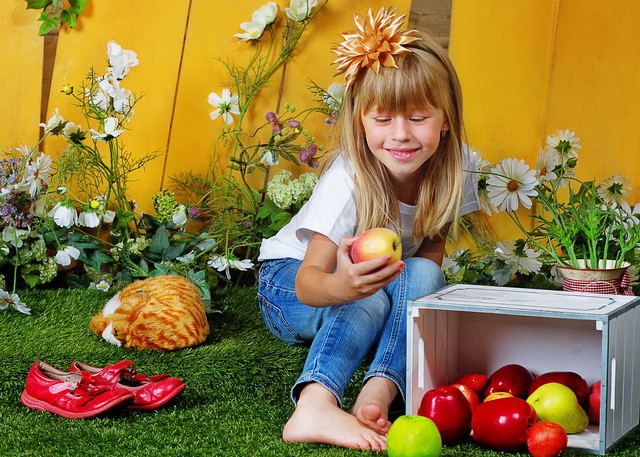 Pick the Best Mutual Fund