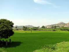 Misuse of Agricultural Loans