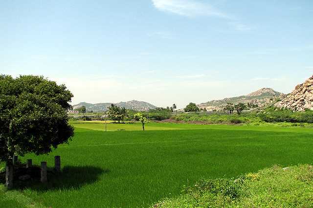 Misuse of Agricultural Loans